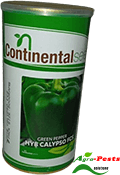 HYB Calypso FCS Green Pepper (capsicum) 10g