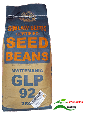 Mwitemania (GLP92)