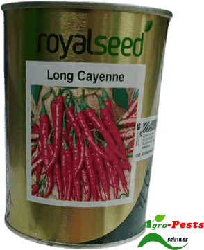 Long Cayenne Royal seed 250g