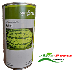 Fahari F1 Watermelon 1000 seeds (100g)
