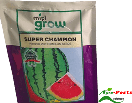 Super Champion Watermelon 500g