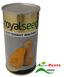 Squash Butternut Royal Seed 250g