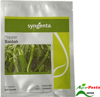 Saidah F1 (Chilli) Pepper 500 Seeds