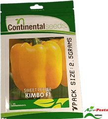 Hybrid yellow Sweet Pepper Kimbo F1 5g