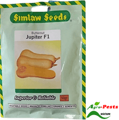 Jupiter F1 Butternut 25g