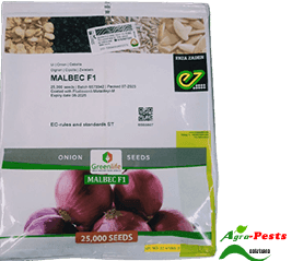 Malbec F1 onion 25,000 seeds
