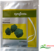 Broccoli Montop F1 2500 seeds