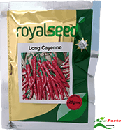 Long Cayenne Royal Seed 10g