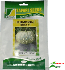 Dora F1 Pumpkin 10g