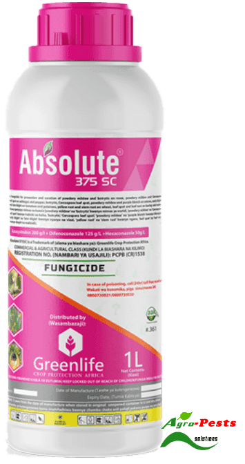 Absolute 375SC 100 ml