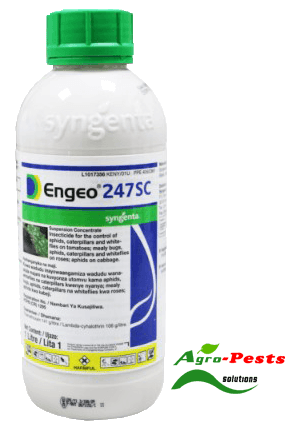 Engeo 247SC 100ML